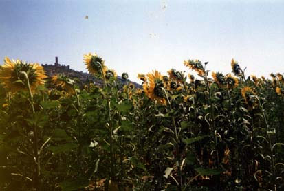 toscana