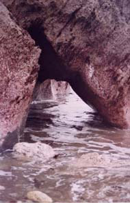 marea