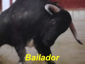 2 Bailador con testo