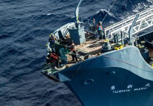 Una nave baleniera durante la caccia